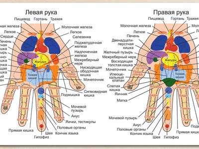 Китайские лечебные точки на ладони